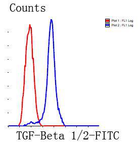 TGF-Beta 1 Antibody