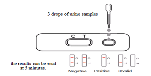 Morphine/Methamphetamine/Ketamine
/<br>Methylenedioxymethamphetamine
/Tetrahydrocannabinol Test Cassette (Colloidal Gold)