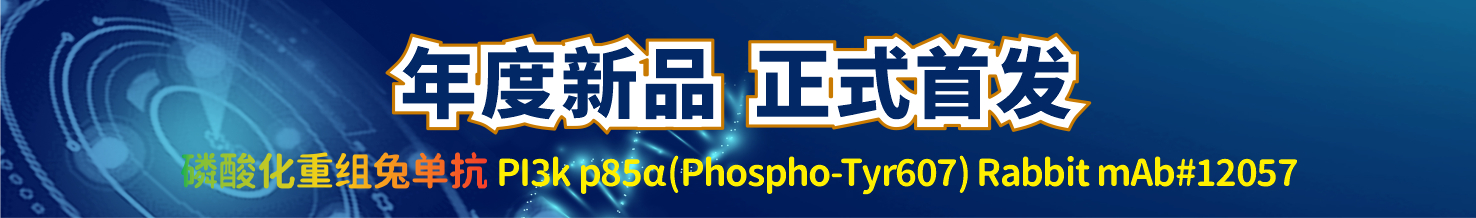 全新上市丨SAB磷酸化重组兔单抗#12057，为科研提供新工具！