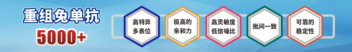 重组兔单抗5000+