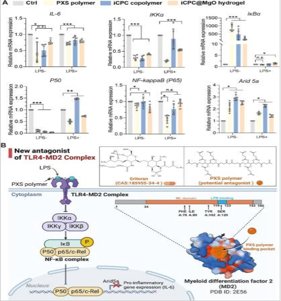 1748246863209896.png ef0cd328e52c00348645db4de90125b1.png