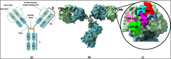 1753754511193764.png 6a5b68f05df82d91bf52ac94588018f3.png