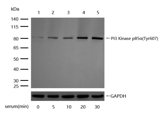 1755065138952925.png 1726f4239ea39d6009d2d1b9c15db9e7.png