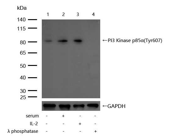 1755065162176969.png 65545198ad2d0c756ee2cd652ee5ccd4.png