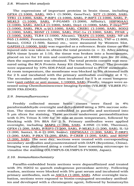 1758096534139086.png 1.png