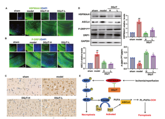 1758096649158881.png 3.png