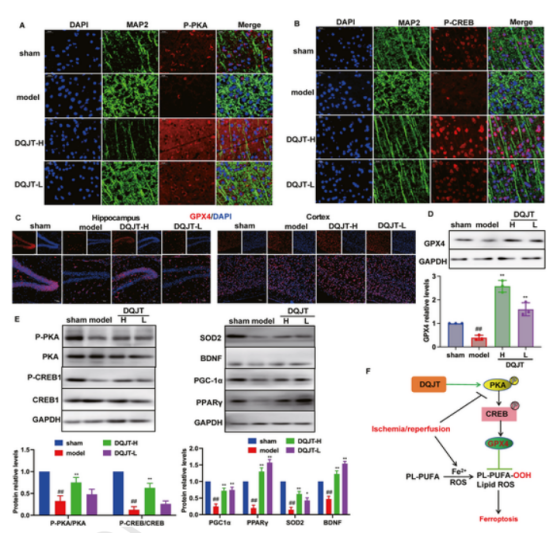 1758096675336641.png 4.png