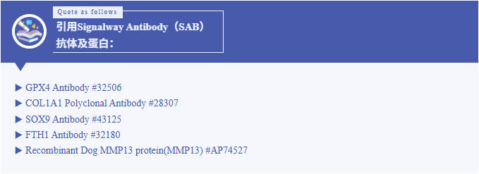 1784011340141162.png QQ_1784011344578.png